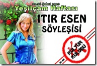 24887_1374282241336_1360214327_2159649_8312603_n