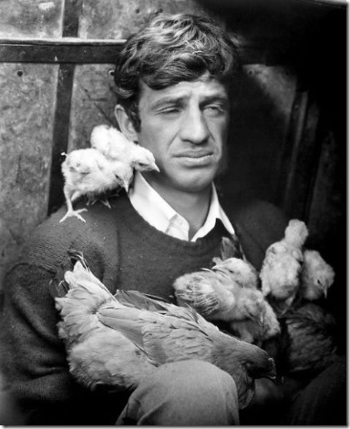 Jean-Paul-Belmondo